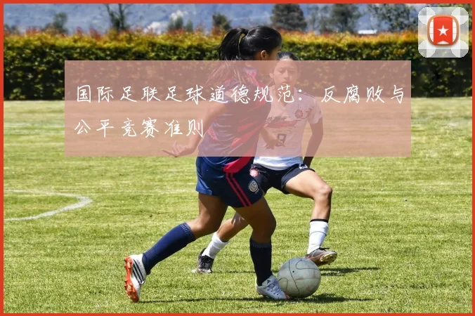 国际足联足球道德规范：反腐败与公平竞赛准则