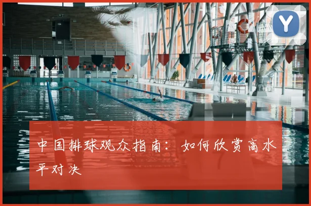 中国排球观众指南:如何欣赏高水平对决